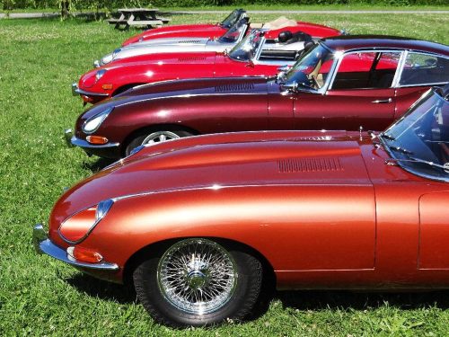 2019 Concours E-type lineup - stewart robertson_website