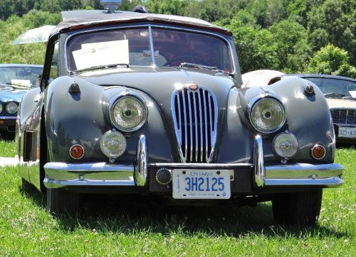 2019 Concours Gary Grant XK 140 - stewart robertson_website