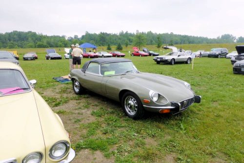 P1010206_website