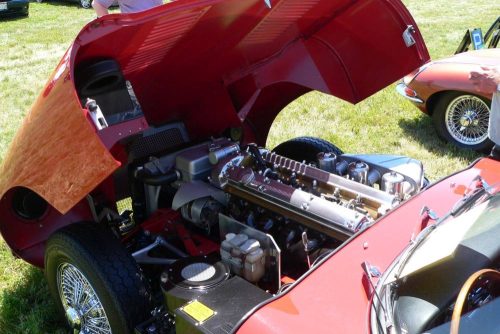 P1030600a - Copy_website