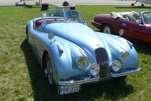 P1030654a - Copy_website