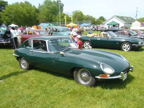 P1050116_website