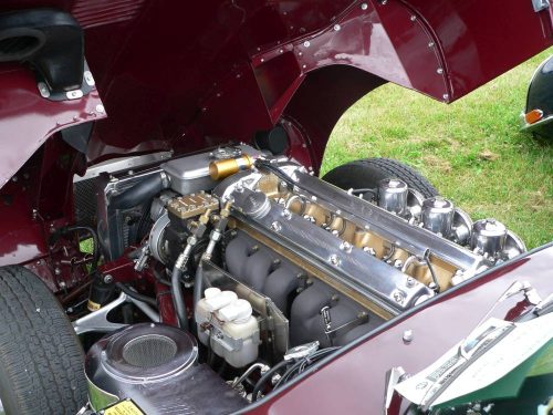 P1090325_website