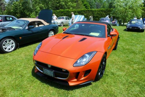 P1090451_website